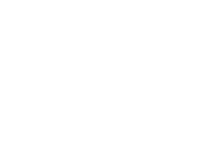 BOSS FA